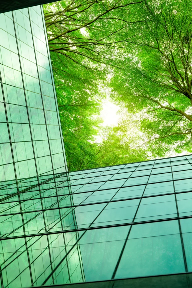 Glass building with reflective windows viewed from below, with green trees and sunlight visible above, creating a contrast between architecture and nature.